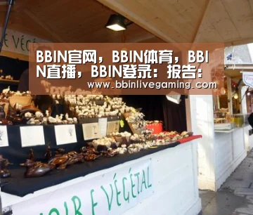 BBIN官网，BBIN体育，BBIN直播，BBIN登录