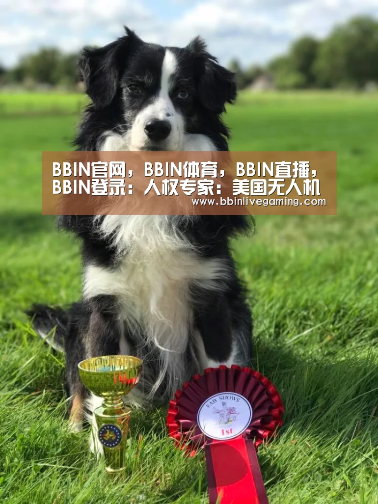BBIN官网,BBIN体育,BBIN直播,BBIN登录:人权专家:美国无人机行动侵犯巴基斯坦主权(图1) BBIN官网,BBIN体育,BBIN直播,BBIN登录