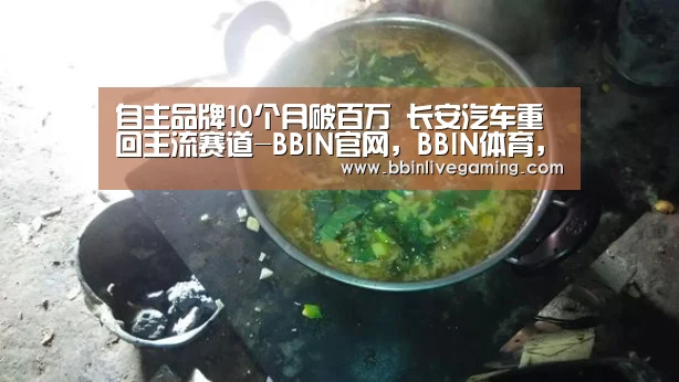 自主品牌10个月破百万 长安汽车重回主流赛道-BBIN官网,BBIN体育,BBIN直播,BBIN登录(图2) BBIN官网,BBIN体育,BBIN直播,BBIN登录