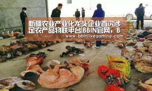 新疆农业产业化龙头企业首次涉足农产品物联平台|BBIN官网,BBIN体育,BBIN直播,BBIN登录(图1) BBIN官网,BBIN体育,BBIN直播,BBIN登录