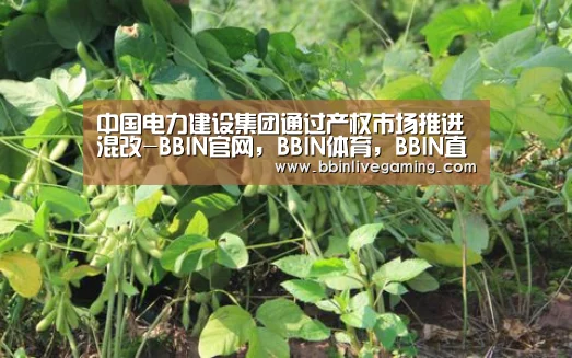 中国电力建设集团通过产权市场推进混改-BBIN官网,BBIN体育,BBIN直播,BBIN登录(图4) BBIN官网,BBIN体育,BBIN直播,BBIN登录