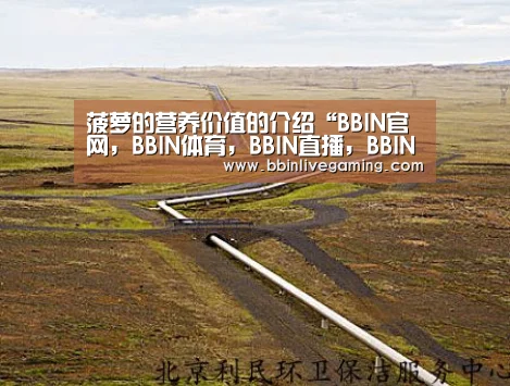 菠萝的营养价值的介绍“BBIN官网,BBIN体育,BBIN直播,BBIN登录”(图1) BBIN官网,BBIN体育,BBIN直播,BBIN登录