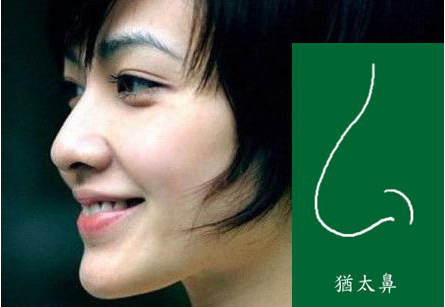 BBIN官网，BBIN体育，BBIN直播，BBIN登录
